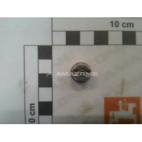 Buse DF 120-06 inox ZF134 Amazone