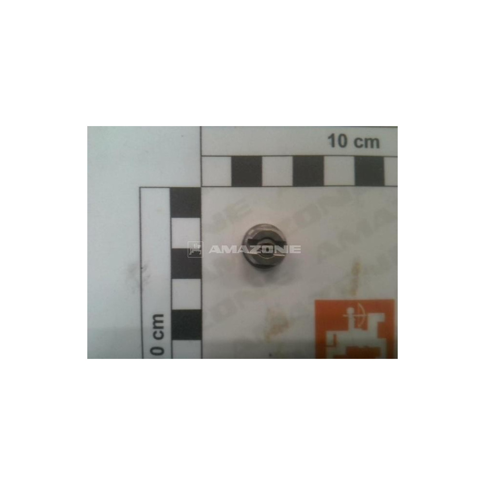 Buse DF 120-06 inox ZF134 Amazone