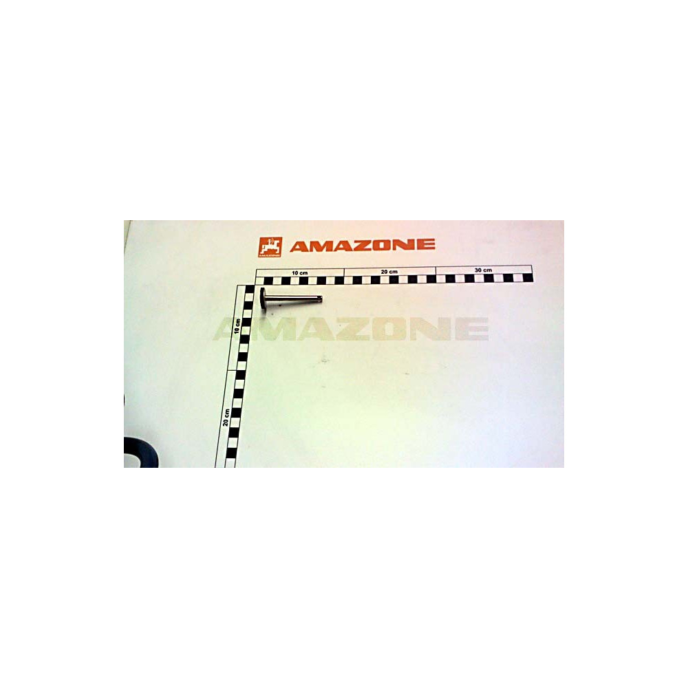 Clapet Z ZF224 Amazone