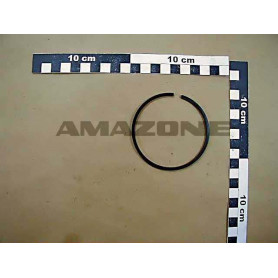 Segment 49x56.5x8.3 ZF547 Amazone
