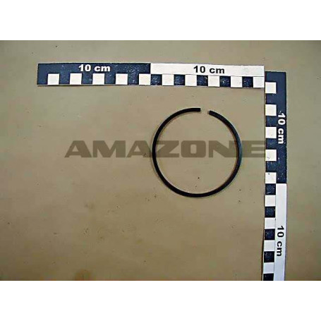 SEGMENT 49X56.5X8.3 Réf. ZF547 AMAZONE SEGMENT 49X56.5X8.3 Réf. ZF547 AMAZONE