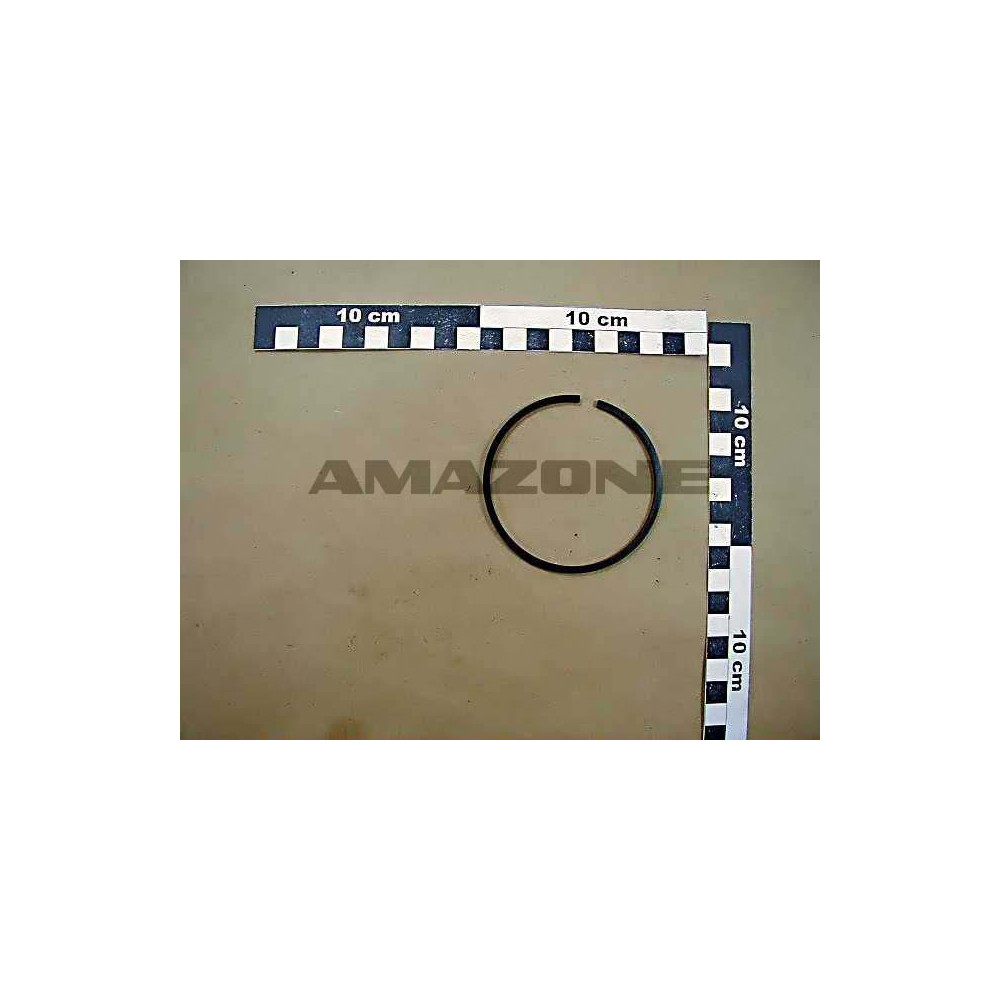 Segment 49x56.5x8.3 ZF547 Amazone