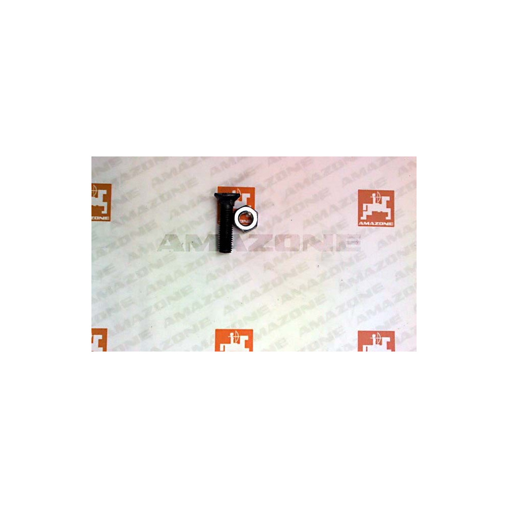 Vis 10X 40 8.8 acier ZN400 Amazone
