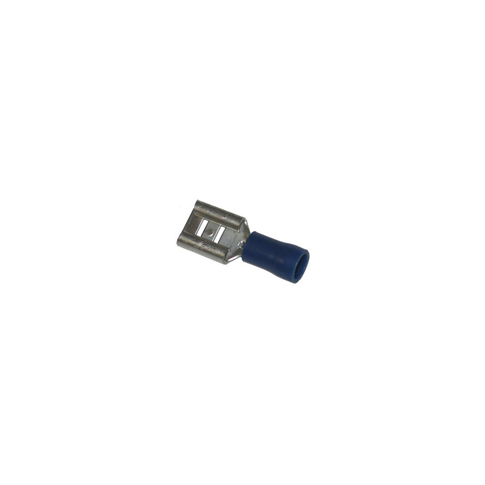 Cosse plate bleue | Agricolors