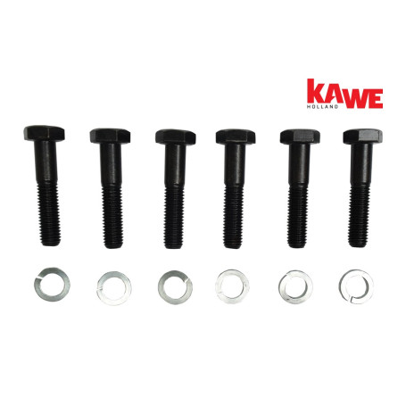 Kit de boulons pour kit d'embrayage réf. 3532192M96 pour Landini