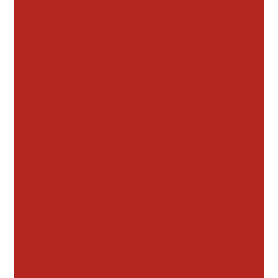 Peinture rouge Massey Ferguson 1 L