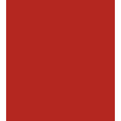 Peinture rouge Massey Ferguson 1 L Peinture rouge Massey Ferguson 1 L