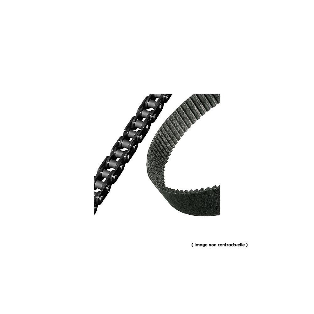 COURROIE - GA0370333