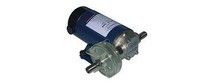 Pompe 12v