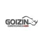 Goizin