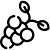 Viticulture